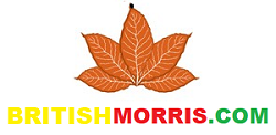 BritishMorris ➥ Сигареты мелким оптом