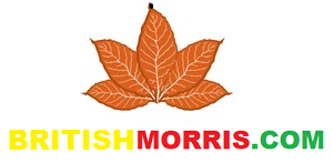 BritishMorris ➥ Сигареты мелким оптом